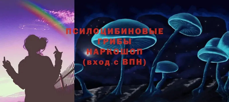 Псилоцибиновые грибы мицелий  Торжок 